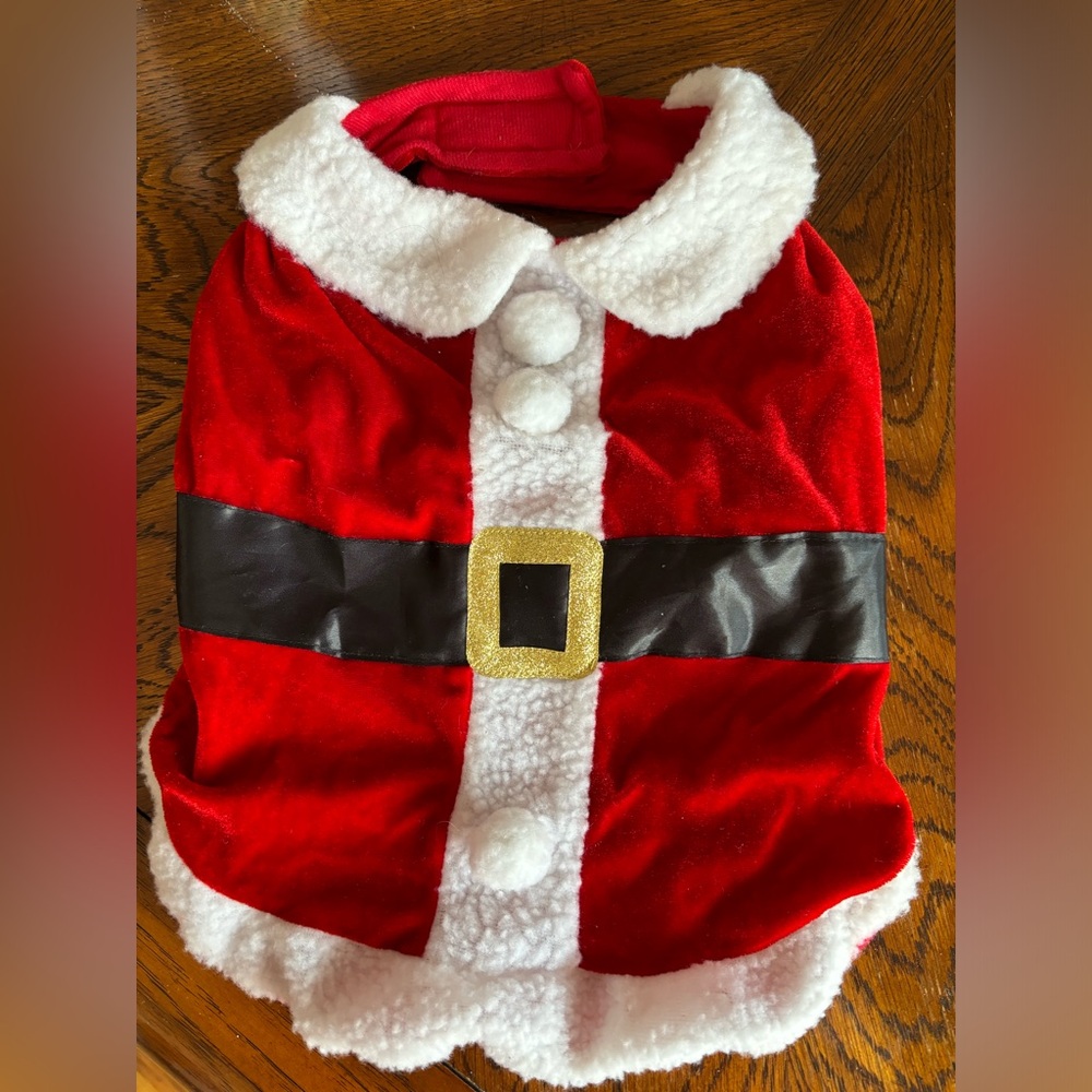 Dog Santa outfit